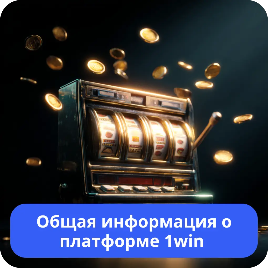Общая информация о платформе 1win